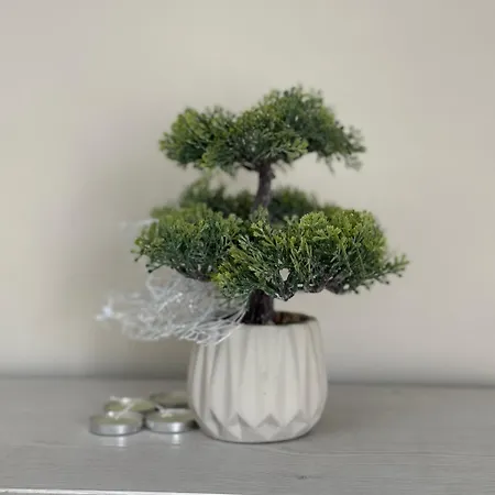 Apartament Square View